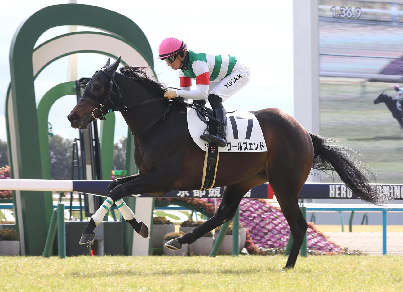 京都5R新馬戦を制したワールズエンド（撮影・白石智彦）