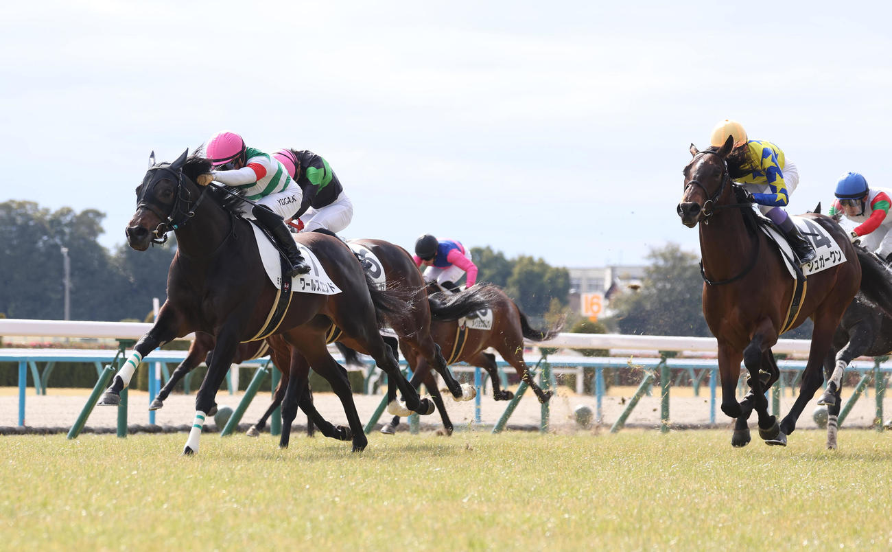 京都5R新馬戦を制したワールズエンド（左）（撮影・白石智彦）