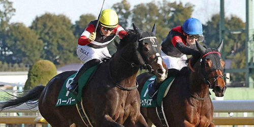 直線鋭く伸びてクイーンCを制したハーパーと川田騎手(左)。右は2着ドゥアイズ(撮影・丹羽敏通)=2023年2月11日、東京競馬場