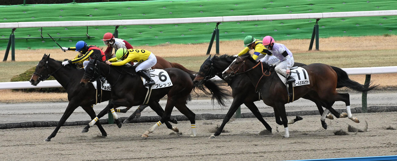 小倉8R、4歳以上1勝クラスを制したアルタビスタ（左）（撮影・前岡正明）