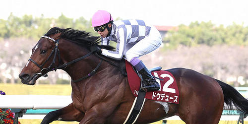 直線力強く伸びて京都記念を快勝したドウデュース（撮影・白石智彦）＝2023年2月12日、阪神競馬場