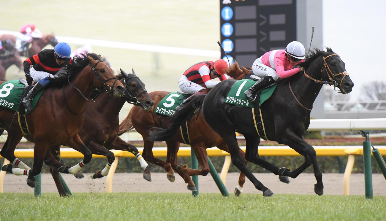 東京新聞杯を制したサクラトゥジュール（右）、2着ウインカーネリアン（中央）（撮影・柴田隆二）