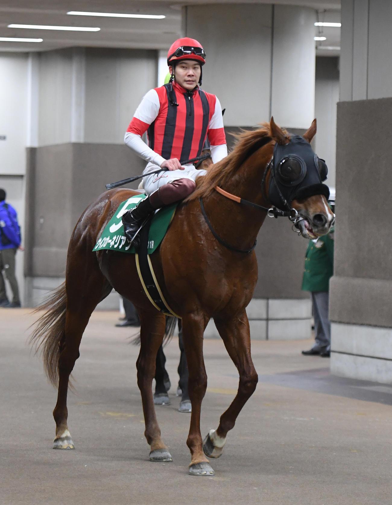 東京新聞杯で2着のウインカーネリアンと三浦騎手（撮影・柴田隆二）