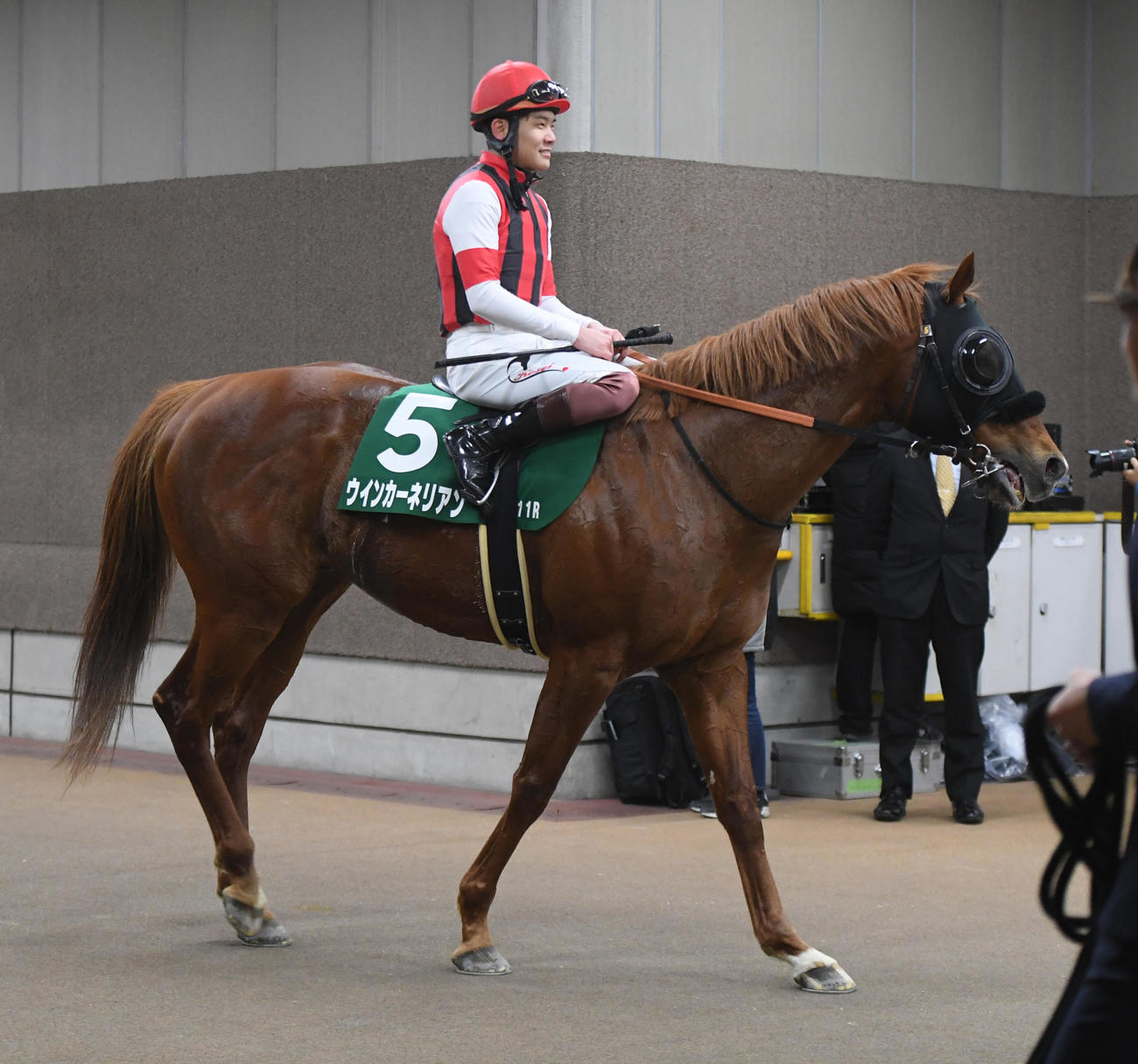 東京新聞杯で2着のウインカーネリアンと三浦騎手（撮影・柴田隆二）