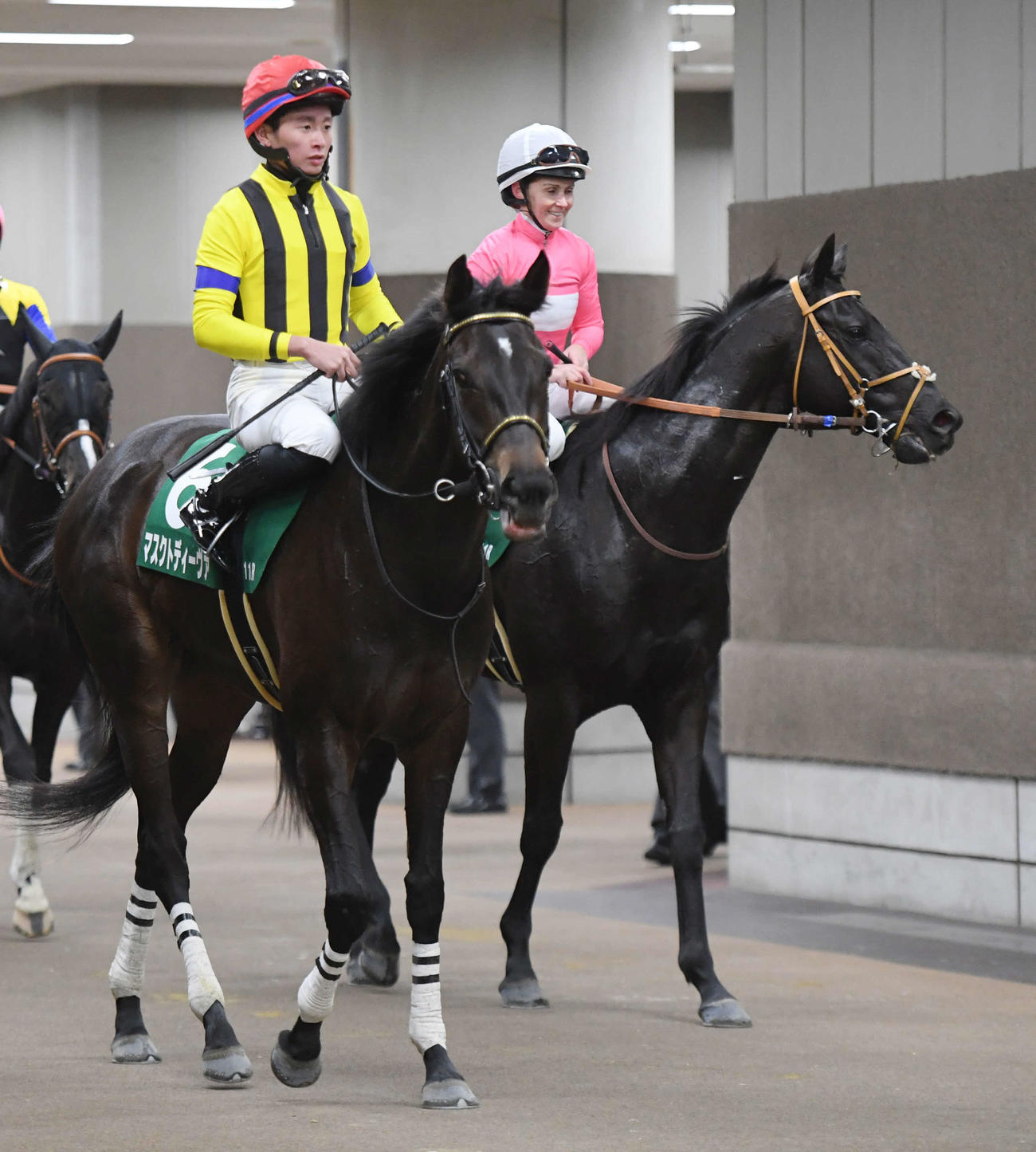 東京新聞杯で6着のマスクトディーヴァと岩田望騎手（撮影・柴田隆二）