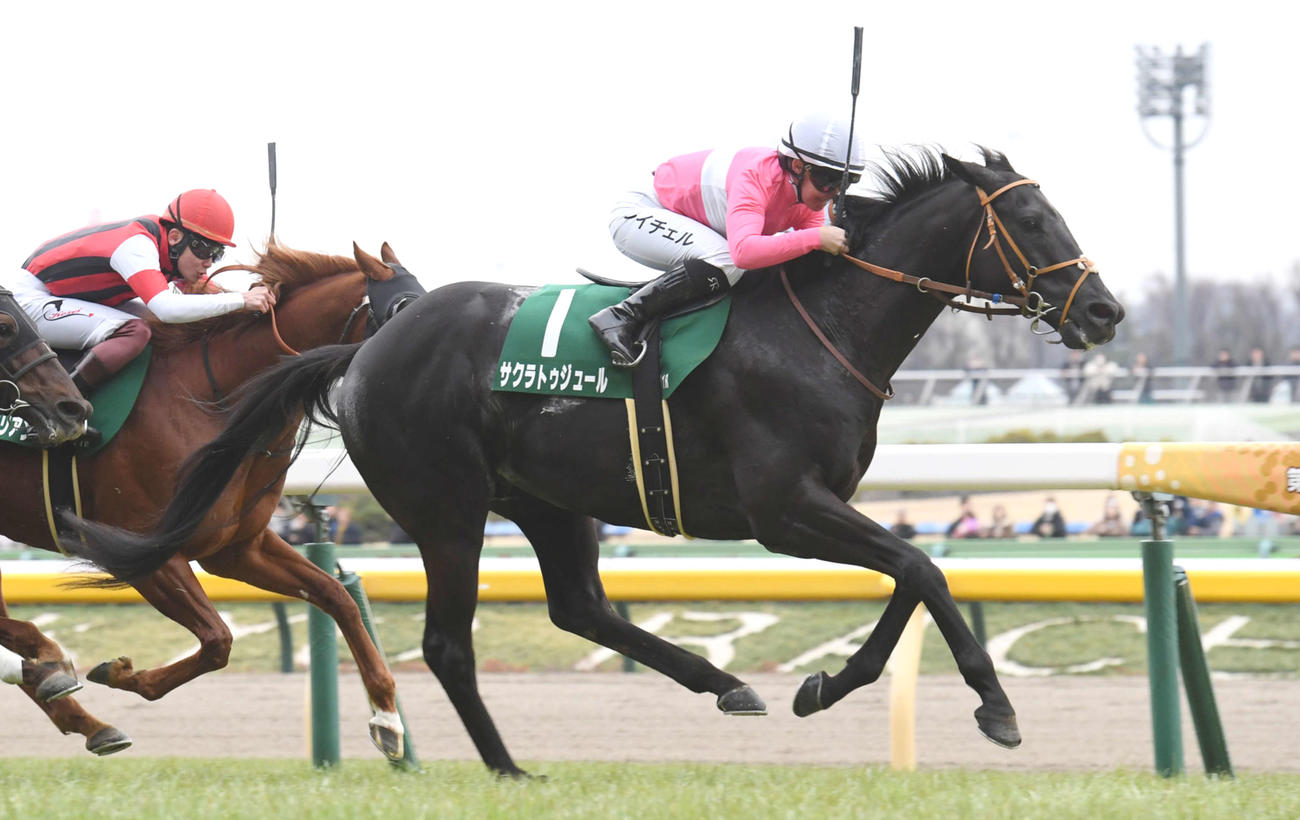 東京新聞杯を制したサクラトゥジュール（右）、2着ウインカーネリアン（中央）（撮影・柴田隆二）