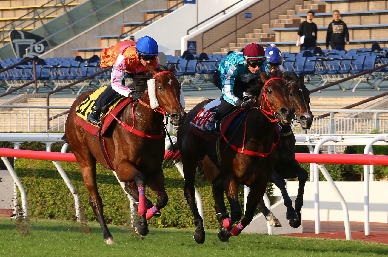 ロマンチックウォリアー（中央）（C）The Hong Kong Jockey Club