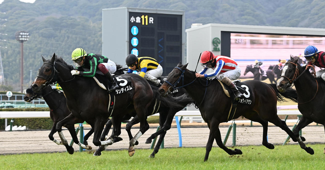 11R、小倉日経オープンを制したダンディズム（撮影・前岡正明）