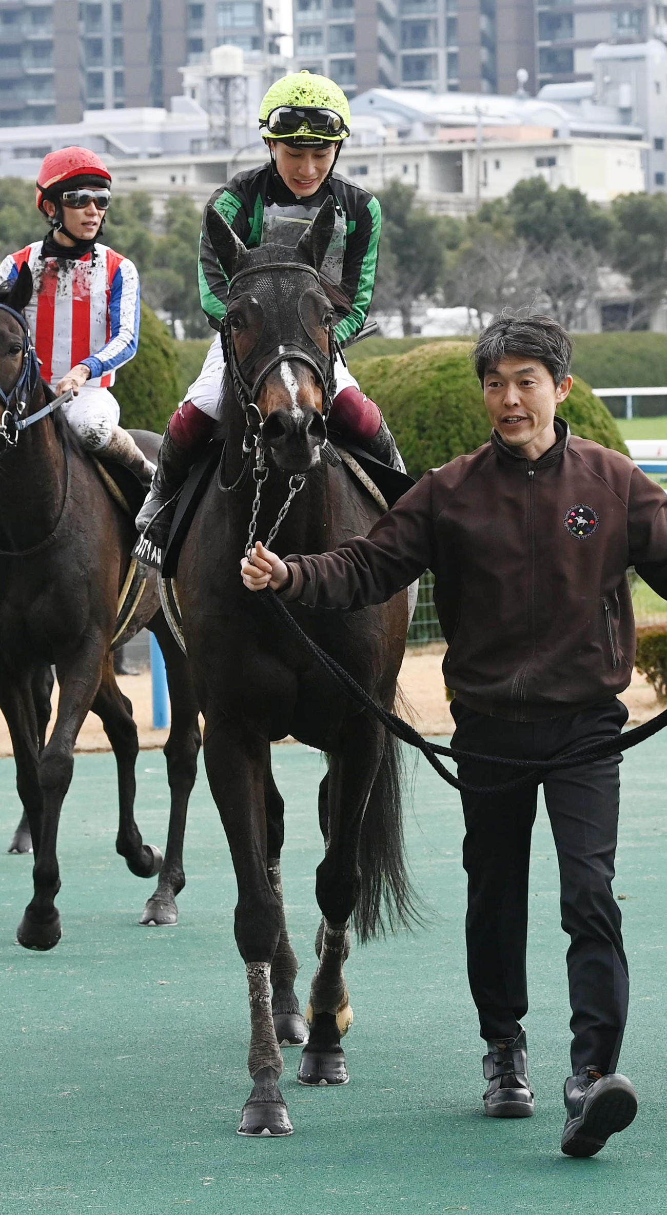 小倉日経オープンを制したダンディズム（撮影・前岡正明）