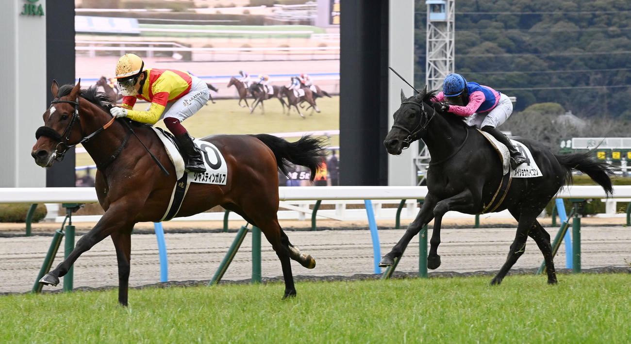小倉5R、新馬戦を制したジャスティンガルフ（左）（撮影・前岡正明）