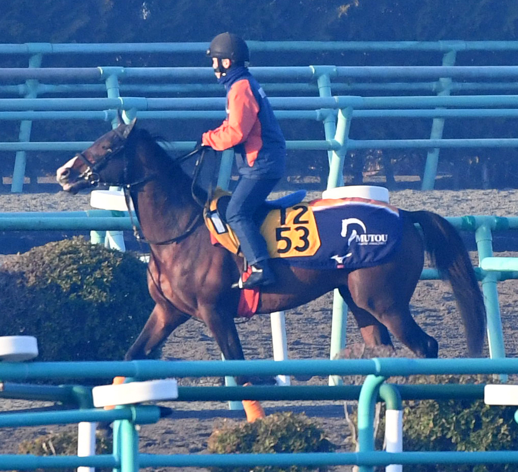 角馬場で調整するナイママ（2024年2月1日撮影）