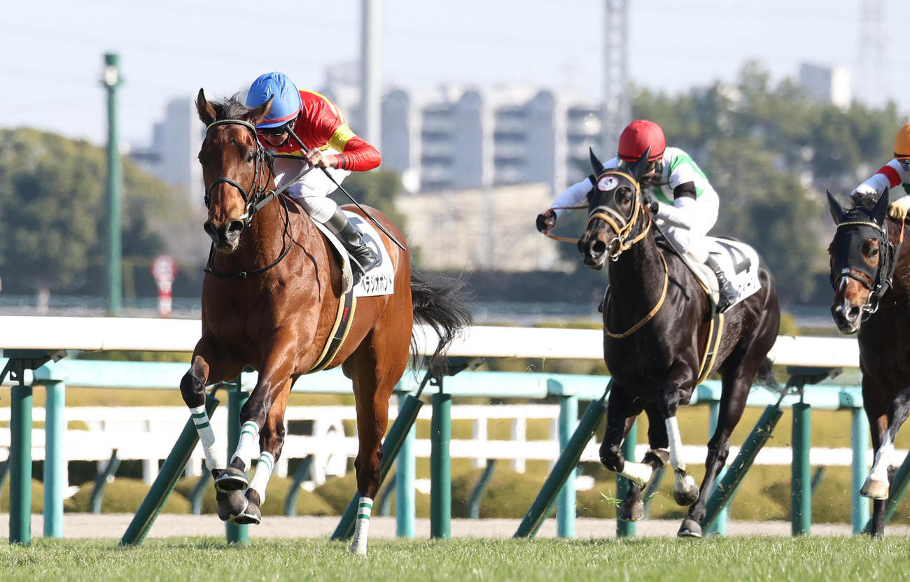 23年12月28日、阪神5R新馬戦を制したベラジオボンド（左）