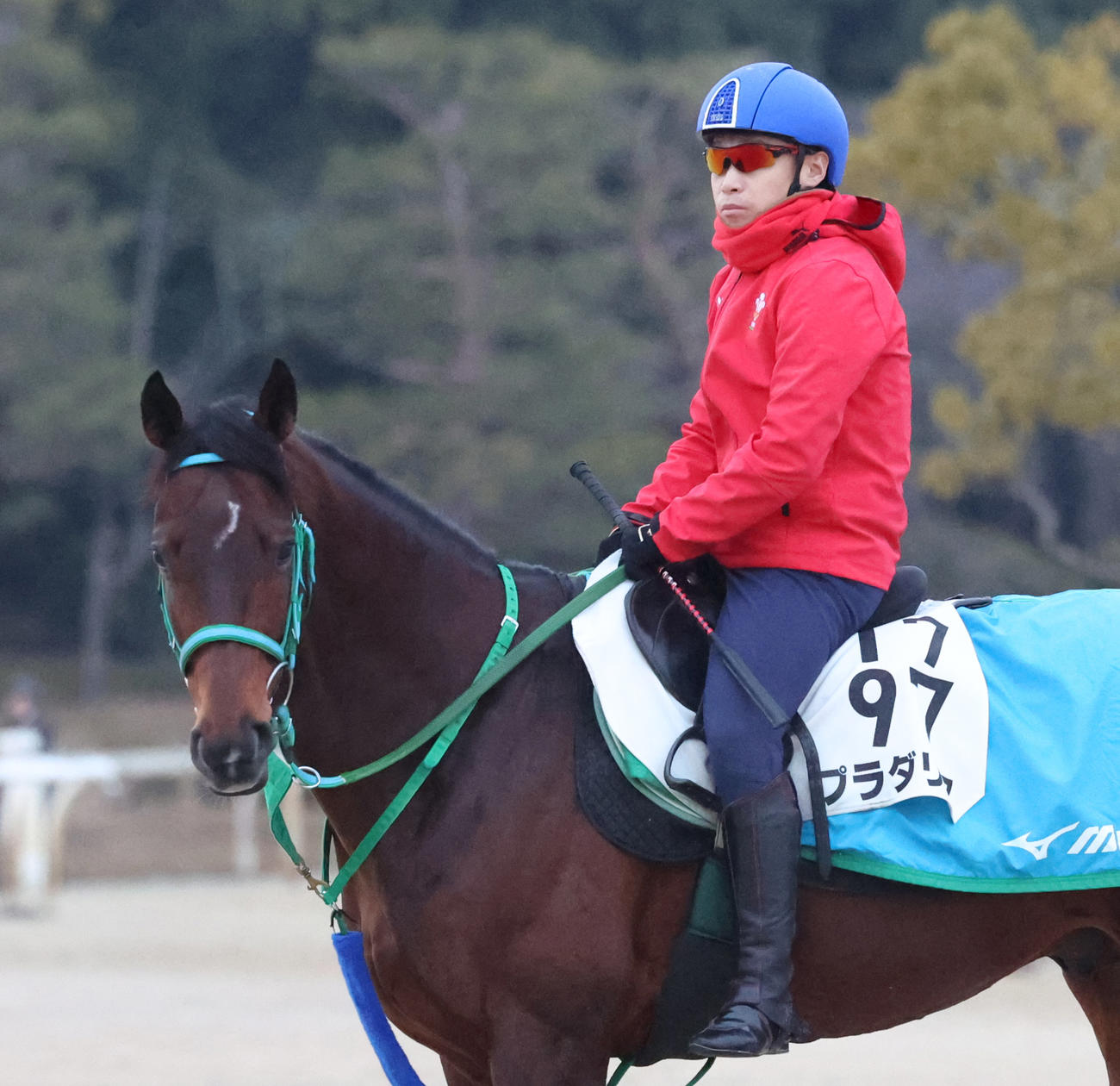池添騎手を背に追い切りへ向かうプラダリア