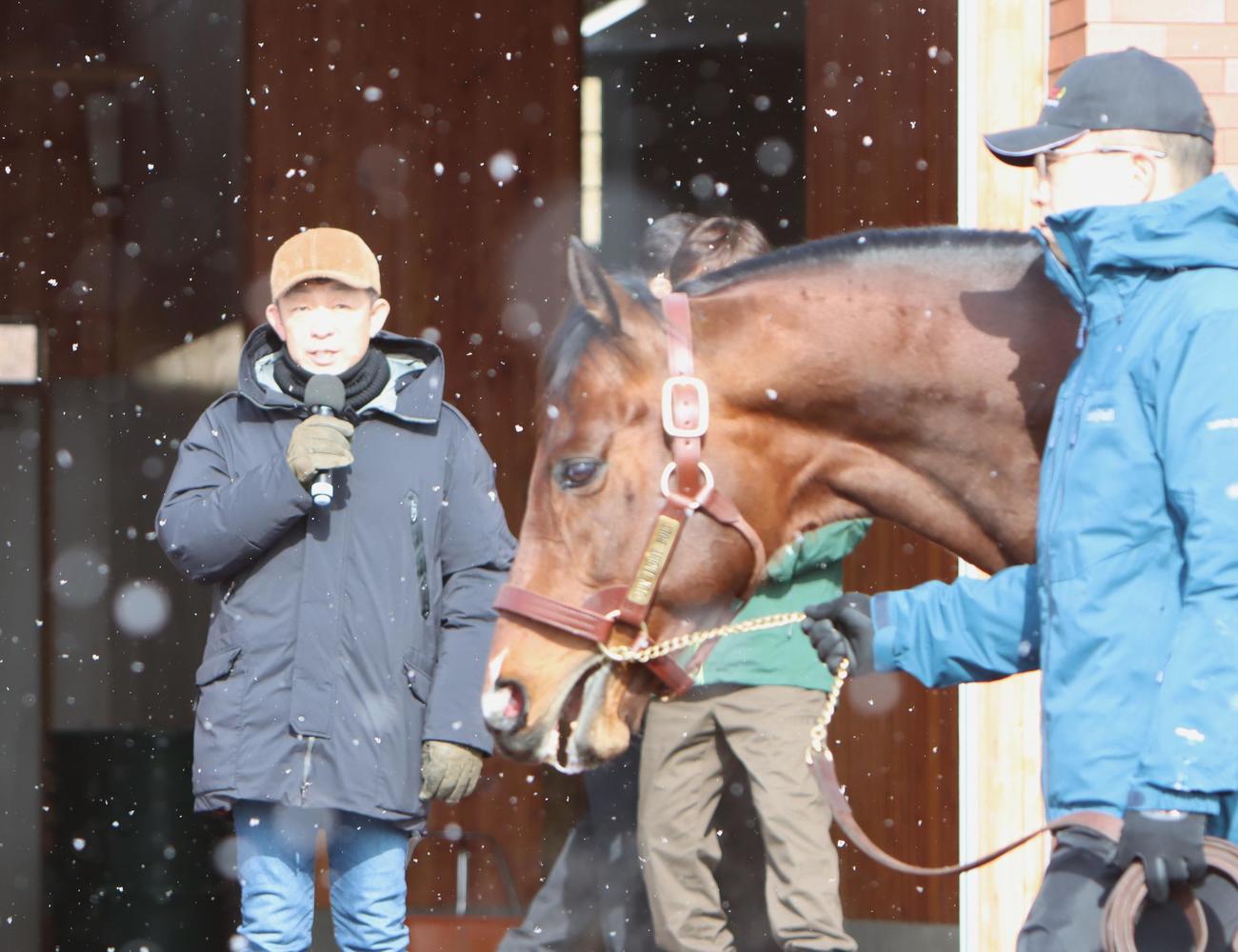 ジュンライトボルトの応援でマイクを握る友道師（撮影・奥村晶治）