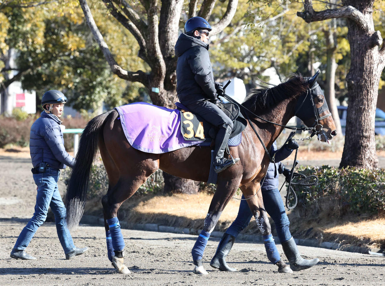 馬場へ向かうテリオスサラと戸崎騎手（撮影・丹羽敏通）