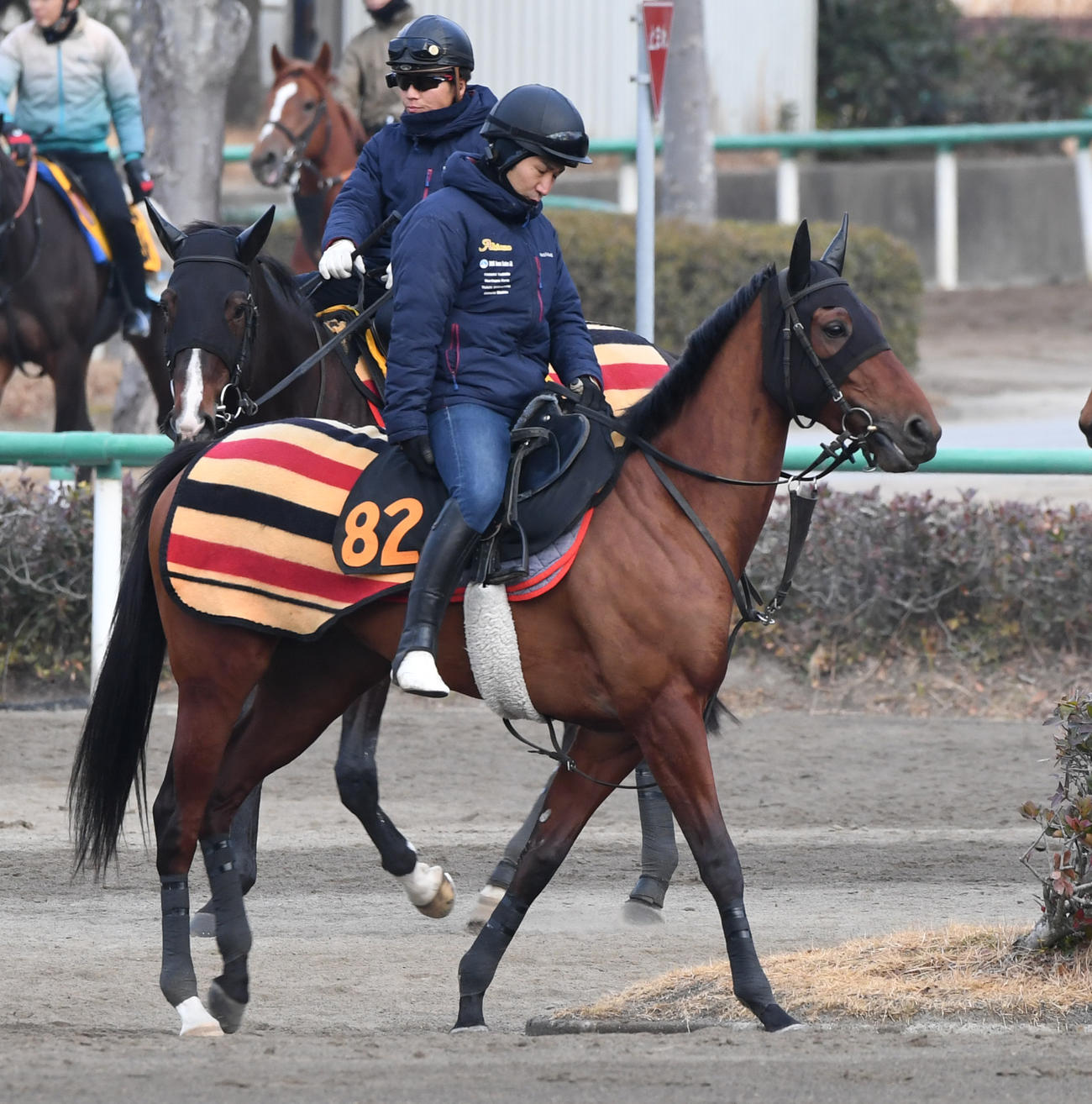 調教に向かうアルセナール（2024年1月31日撮影）
