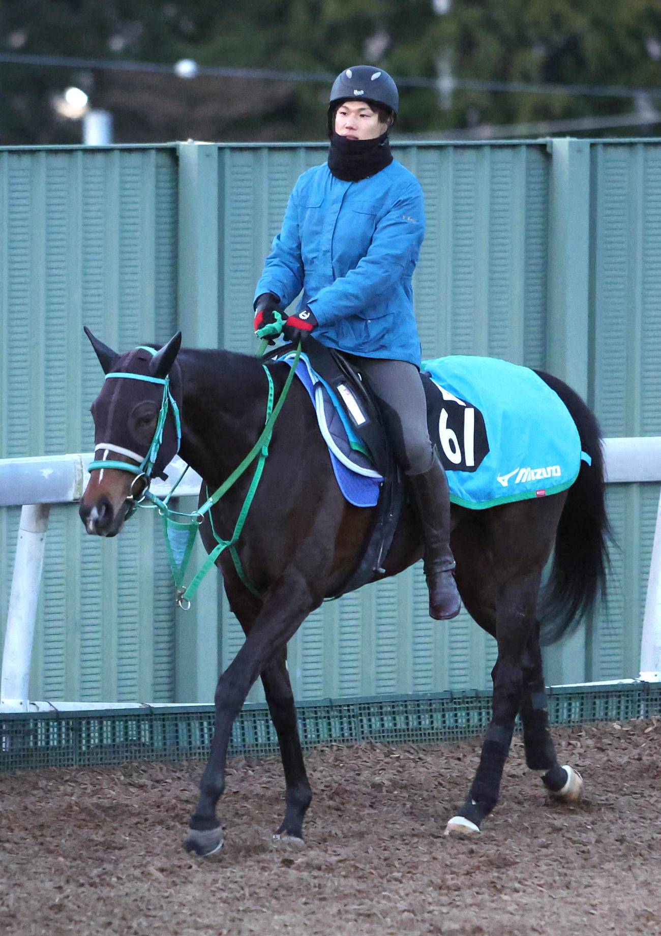 角馬場で運動するサフィラ（撮影・白石智彦）