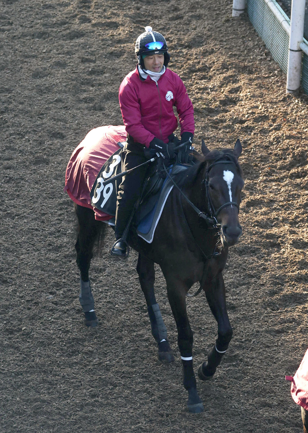 逍遥馬道で運動するクイーンズウォーク（撮影・白石智彦）