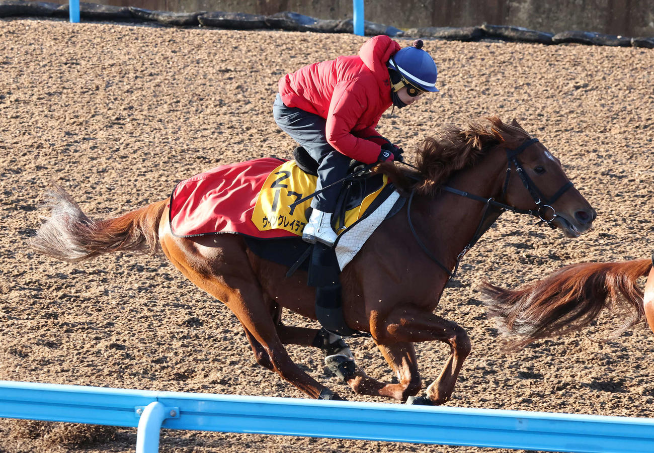 ウイングレイテストは松岡騎手を背に美浦ウッドで先行する僚馬を追い上げた（撮影・丹羽敏通）