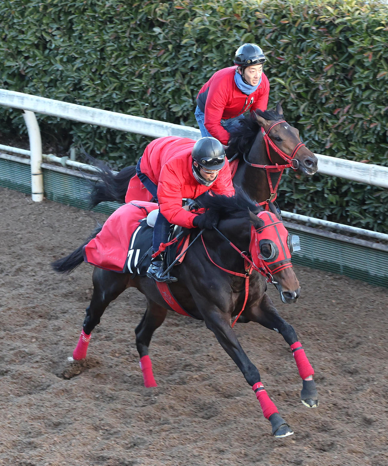 坂路をグッジョブ（奥）と併せ馬で追い切るエコロヴァルツ（撮影・白石智彦）
