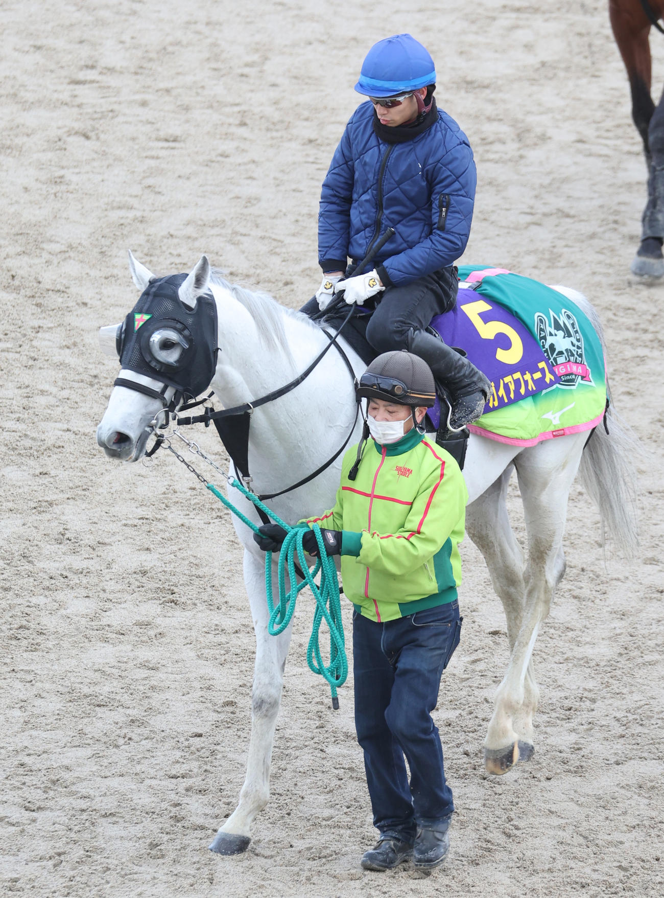 長岡騎手を背に追い切りへ向かうガイアフォース