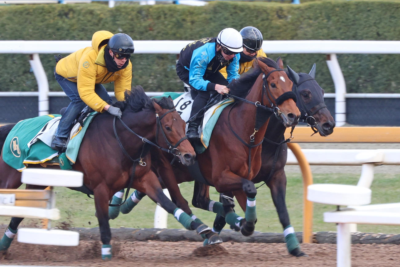 横山和騎手を背にベラジオオペラ（中央）はCウッドにて3頭併せで時計を出した