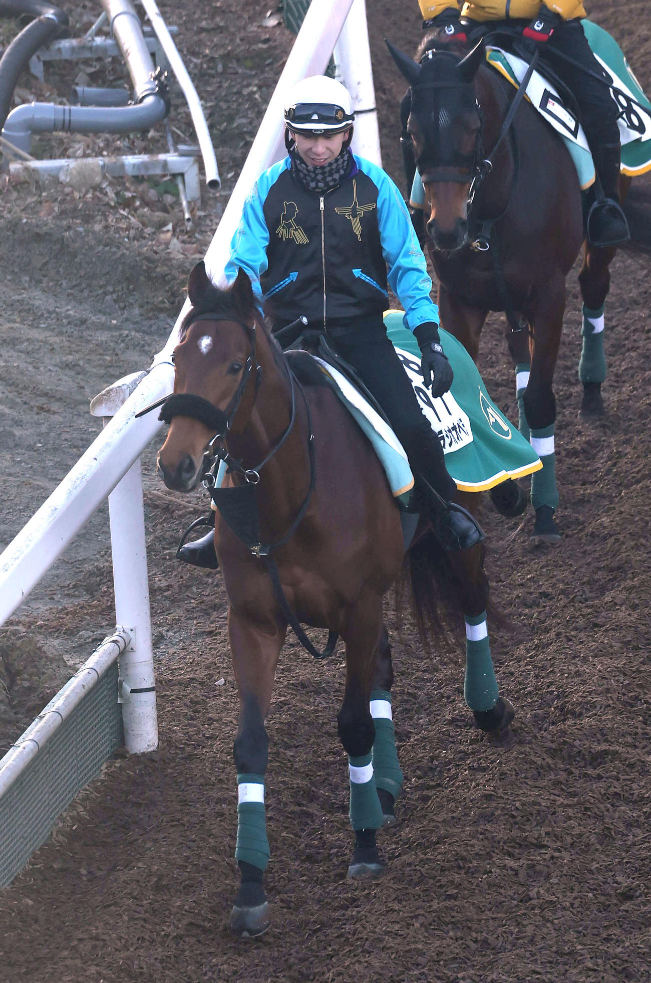 横山和騎手を背に逍遥馬道で運動するベラジオオペラ（撮影・白石智彦）