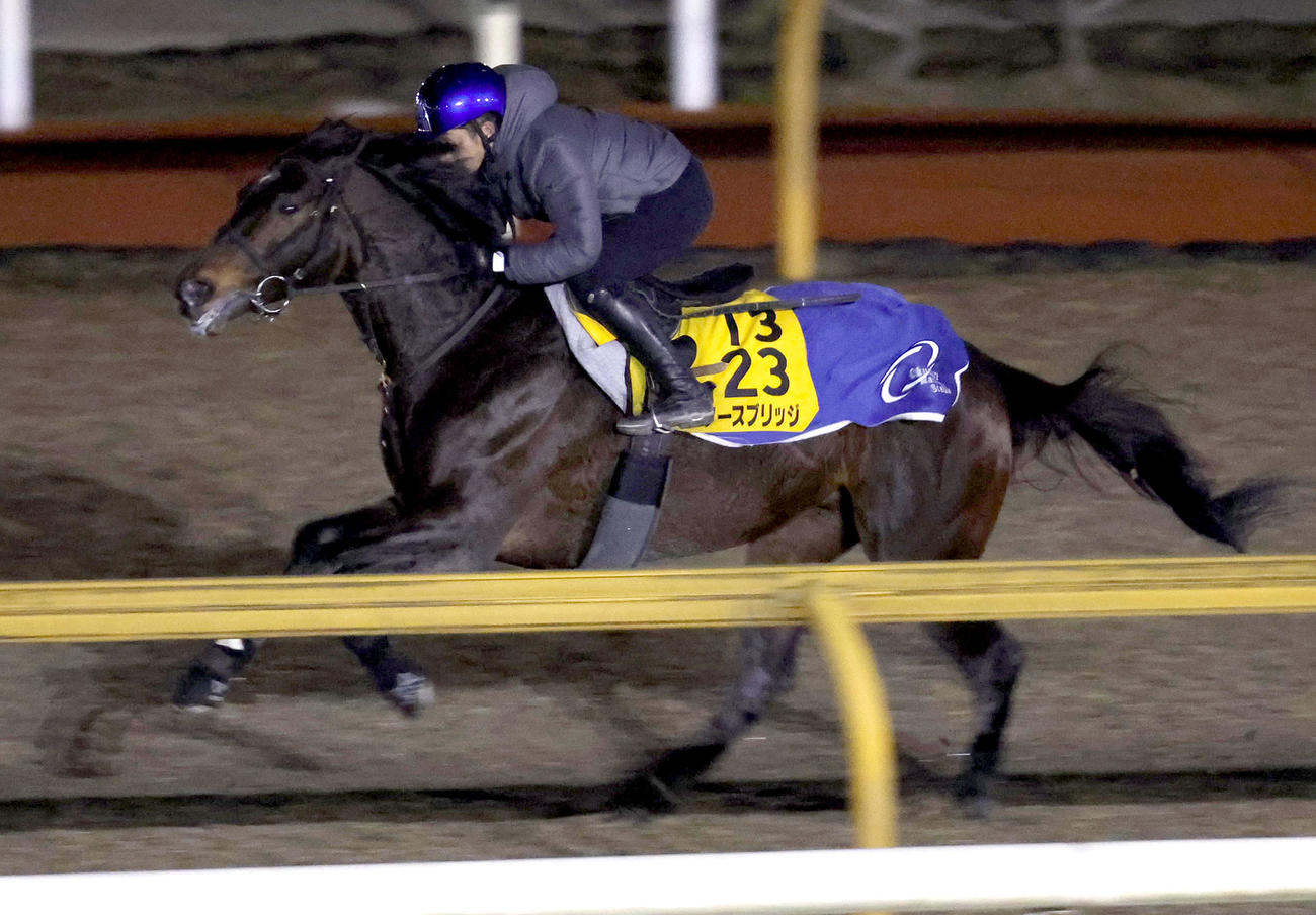 岩田康騎手を背にCウッドを単走で追い切るノースブリッジ（撮影・白石智彦）
