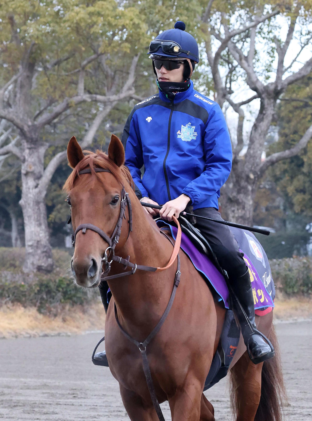 馬場へ向かうレモンポップと坂井瑠星騎手（撮影・丹羽敏通）