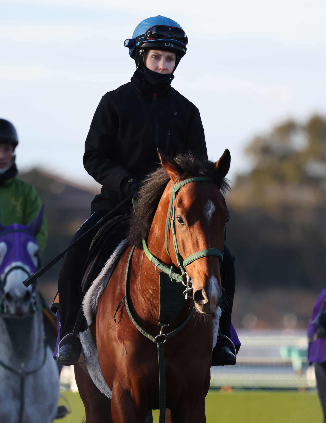 追い切りを終えて馬場を出るディマイザキッドとキング騎手（2024年2月7日撮影）
