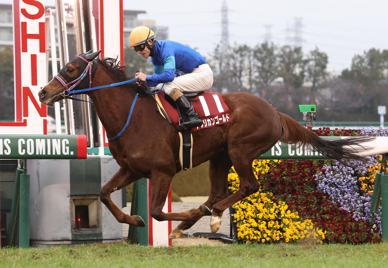 22年京都記念を逃げ切ったアフリカンゴールド