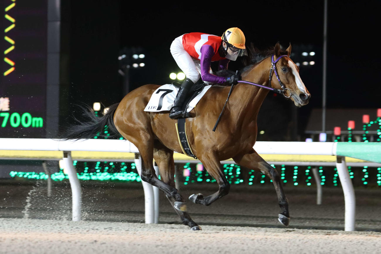 ギガキングで駿麗賞を制した和田譲治騎手が地方通算1500勝を達成