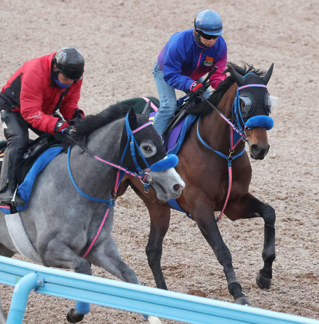 ウィルソンテソーロ（右）は美浦ウッドを併せ馬で追い切られた（撮影・丹羽敏通）