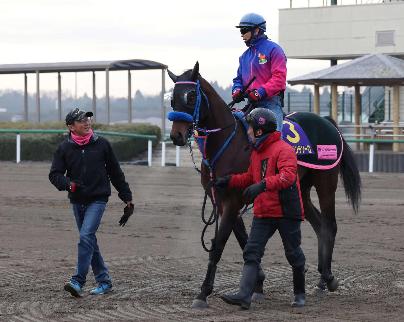 追い切りを終えて馬場を出るウィルソンテソーロ。左は小手川師（撮影・丹羽敏通）