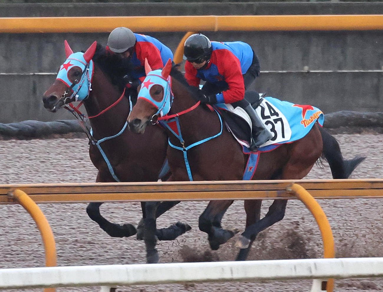 Cウッドをロコポルティ（右）と併せ馬で追い切るタガノビューティー（撮影・白石智彦）