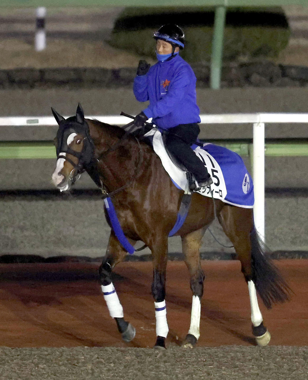 馬場入りするゼッフィーロ（撮影・白石智彦）