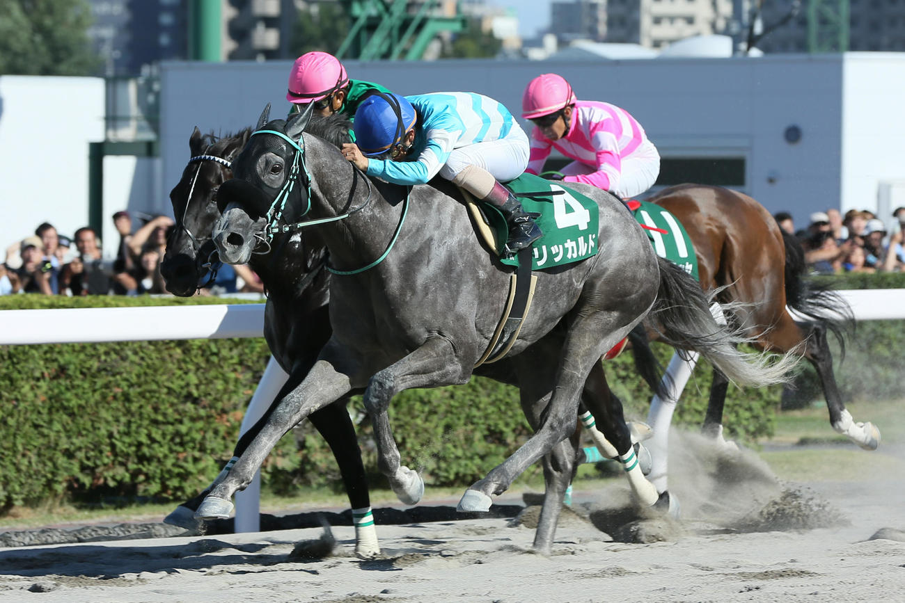 初重賞挑戦でエルムSを制したリッカルド（手前）（2016年8月撮影）