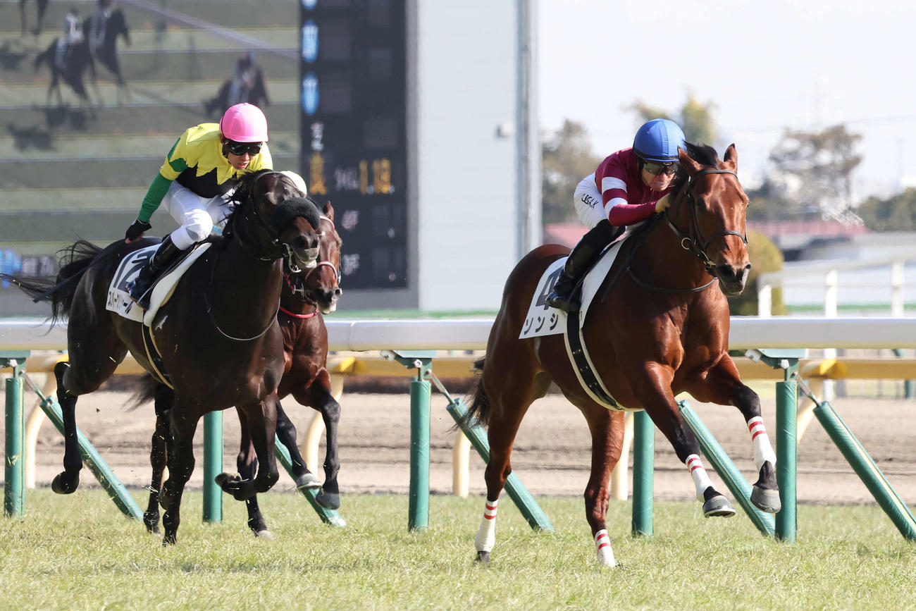 東京7R、3歳1勝クラスを制したソンシと川田騎手（撮影・丹羽敏通）