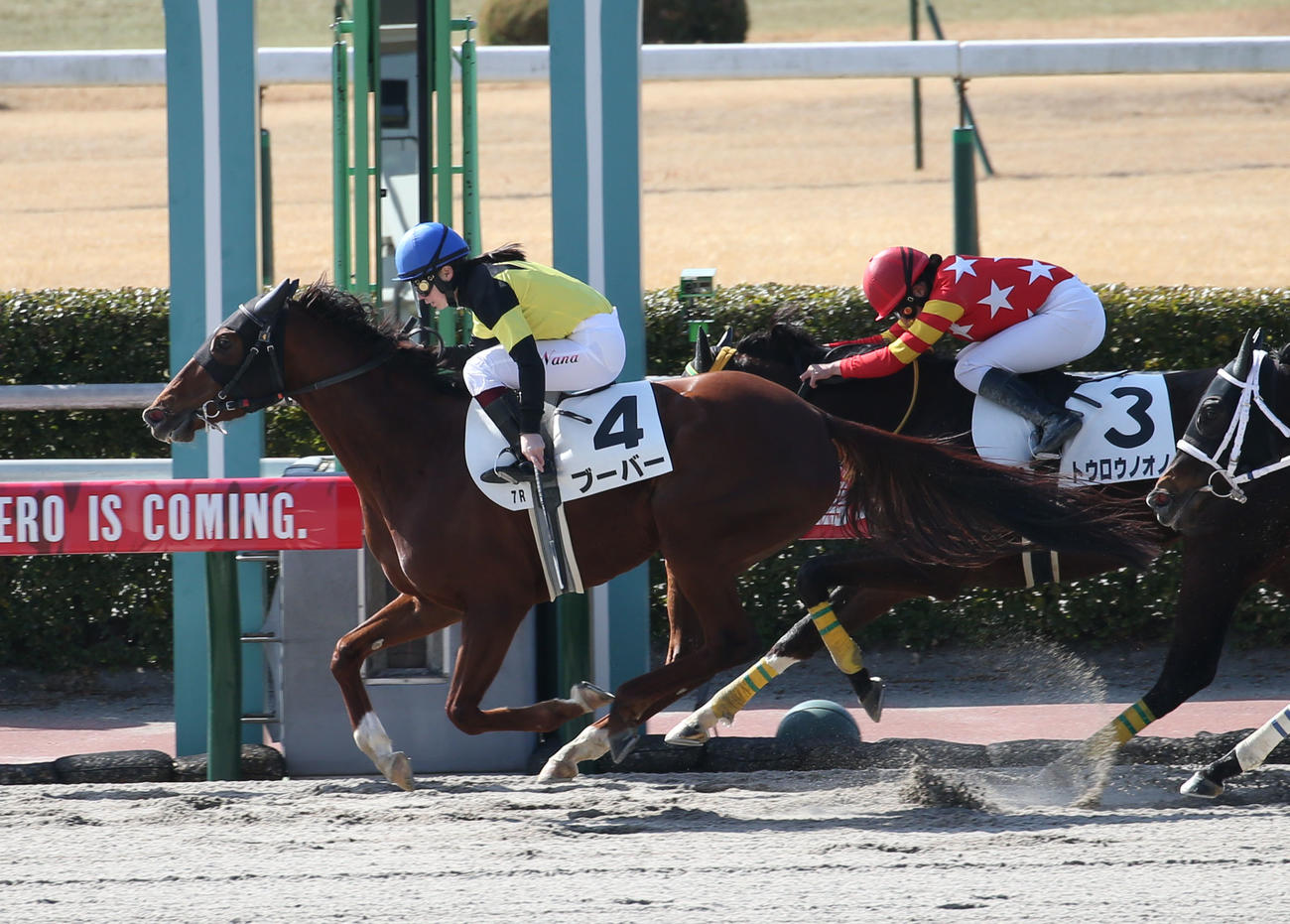 小倉7Rの4歳上1勝クラスを制したブーバーと河原田騎手（撮影・冨田成美）