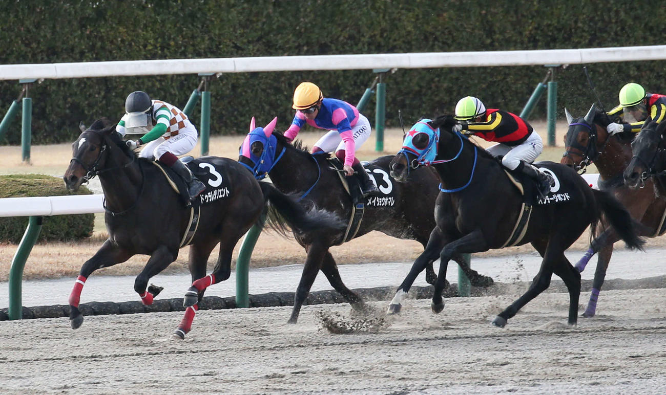 小倉11R、紫川特別を制したドゥラレジリエント（左）（撮影・冨田成美）