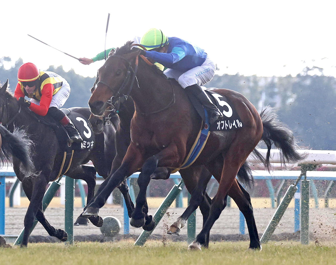 京都9R、ゴール前差し切ってこぶし賞を制したオフトレイル（撮影・白石智彦）
