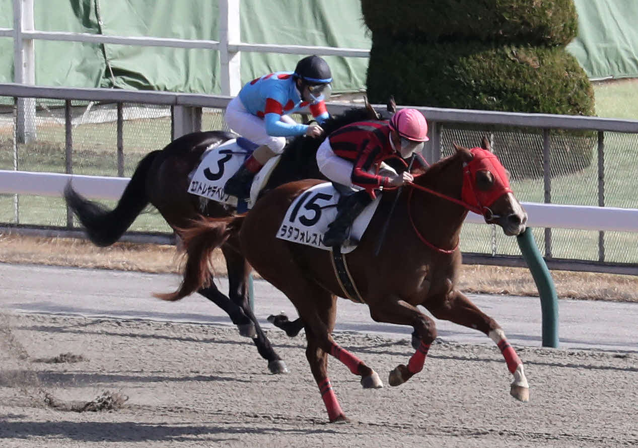 東京7R、3歳1勝クラスを制したラタフォレストと岩田望騎手（撮影・丹羽敏通）