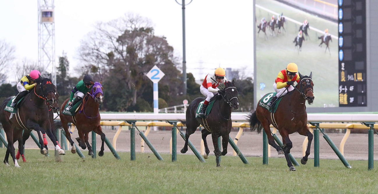 直線鋭く伸びて共同通信杯を制したジャスティンミラノと戸崎騎手（右端）（撮影・丹羽敏通）