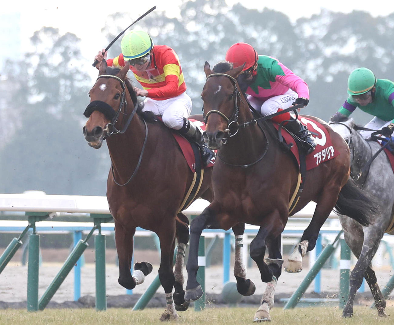 京都記念2着に敗れたベラジオオペラ（左）。右は勝ったプラダリア