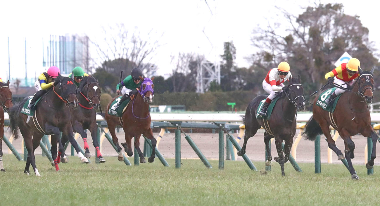 共同通信杯2着に敗れたジャンタルマンタル（左端）。右端は勝ったジャスティンミラノ（撮影・丹羽敏通）