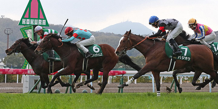 ヒンドゥタイムズ（中央6番）が小倉大賞典を制した（撮影・梅根麻紀）＝2023年2月19日、小倉競馬場