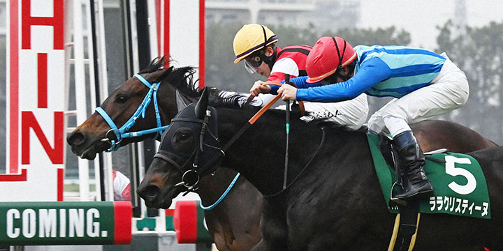 差し切って京都牝馬Sを制したララクリスティーヌ（手前）（撮影・和賀正仁）＝2023年2月18日、阪神競馬場