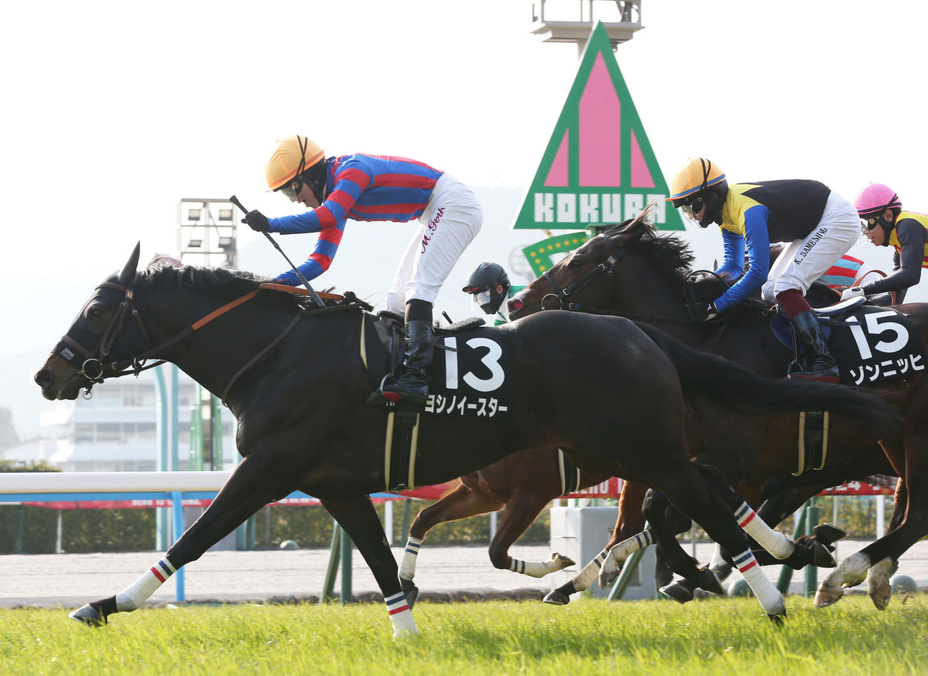 小倉11R、北九州短距離Sを制したヨシノイースター。丸山騎手はガッツポーズ（撮影・冨田成美）