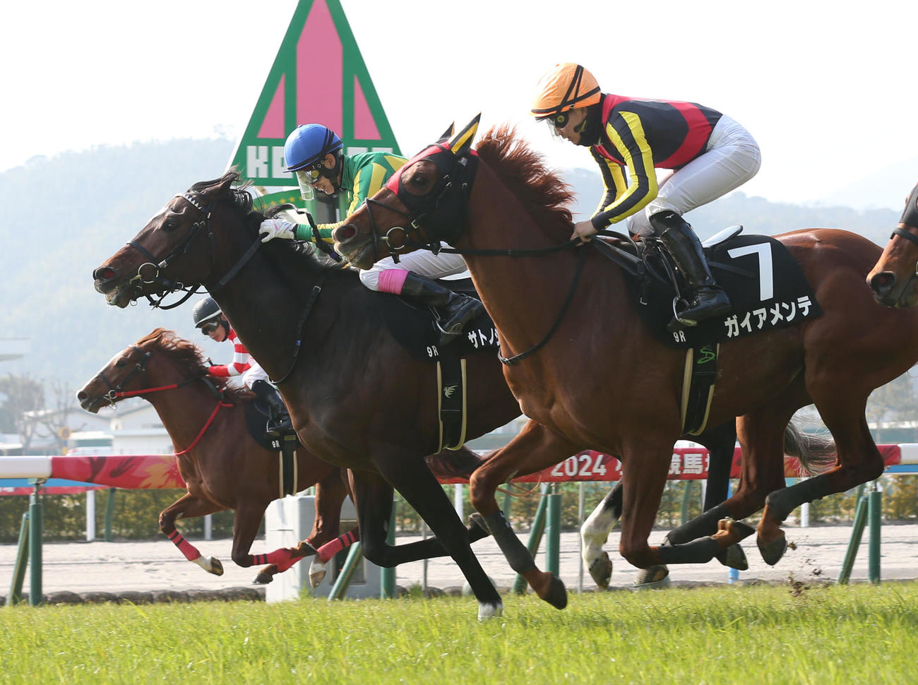 小倉9R、あすなろ賞を制したサトノシュトラーセと藤岡康騎手（左から2頭目）（撮影・冨田成美）