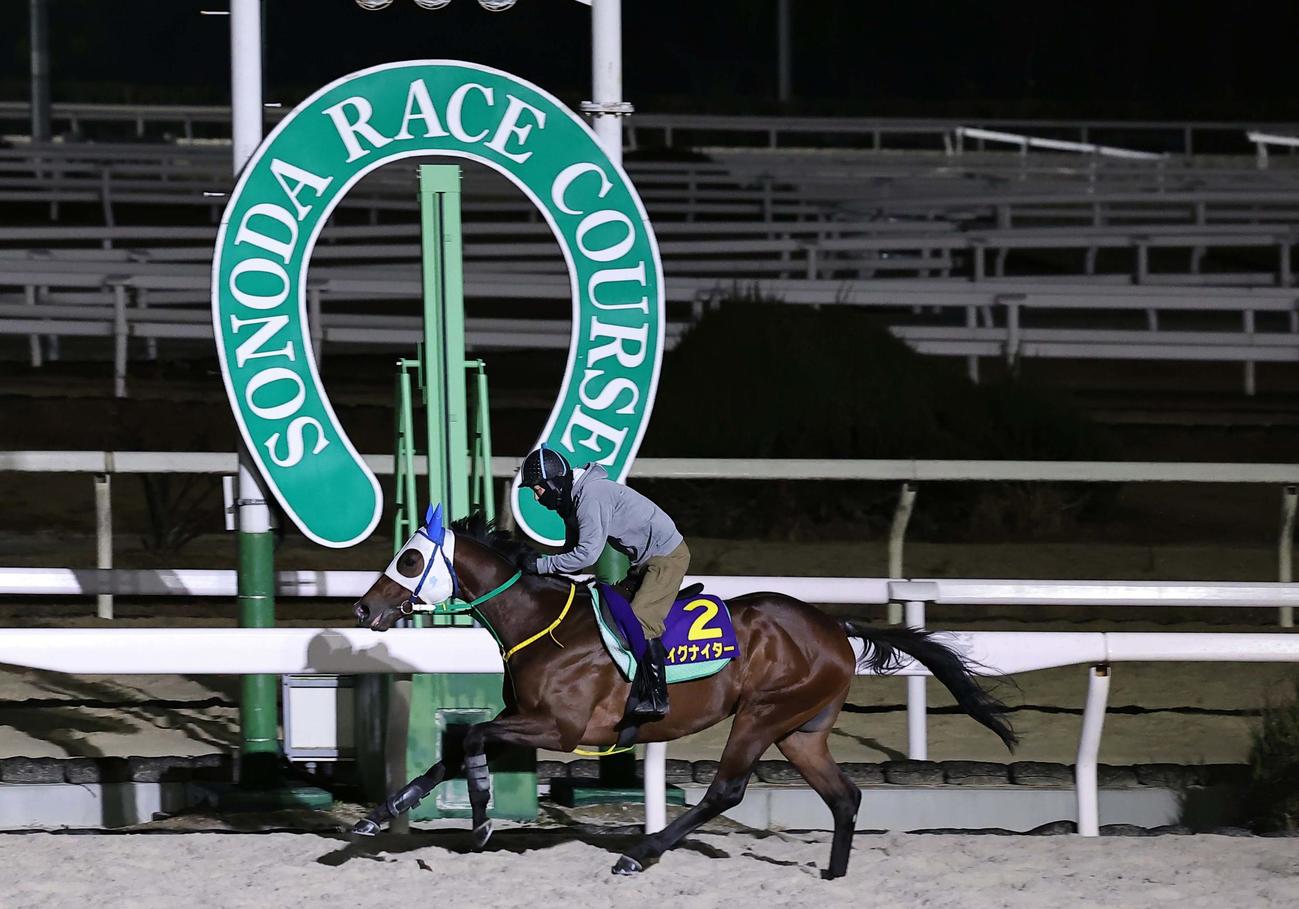 園田競馬場で軽快に追い切るイグナイター（撮影・上田博志）